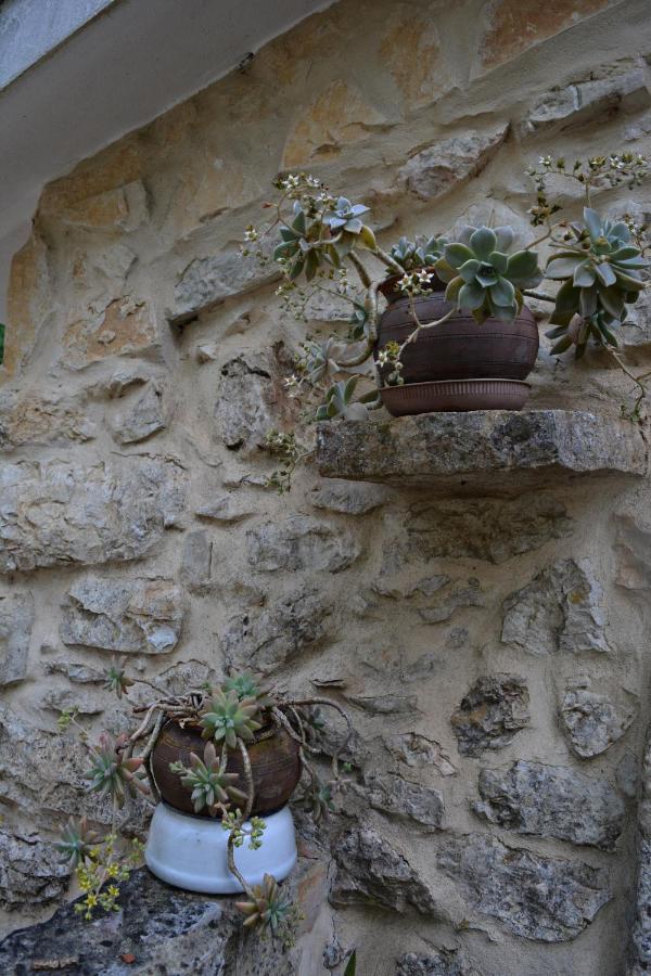 アンシアン Casa Da Pedraヴィラ エクステリア 写真